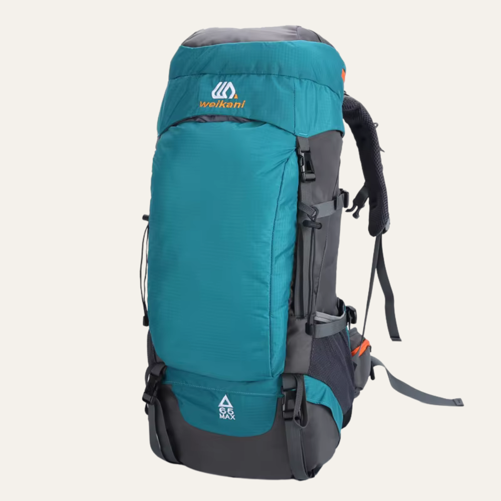 Sac à Dos Voyage Avion